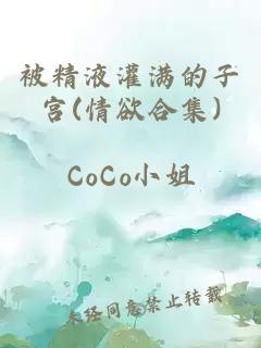 被精液灌满的子宫(情欲合集)