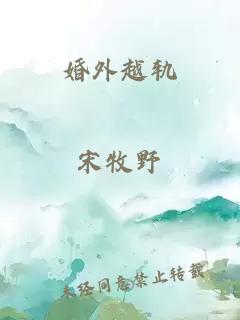 婚外越轨